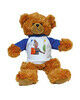 Birthday Boy Teddy Bear