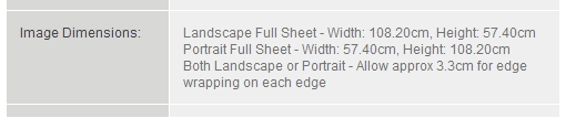 Website – Shows Image Dimensions for 20x40” Long Rectangle Canvas Print