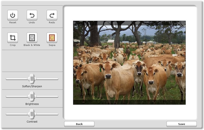 Online Software – Edit section shows image editing options